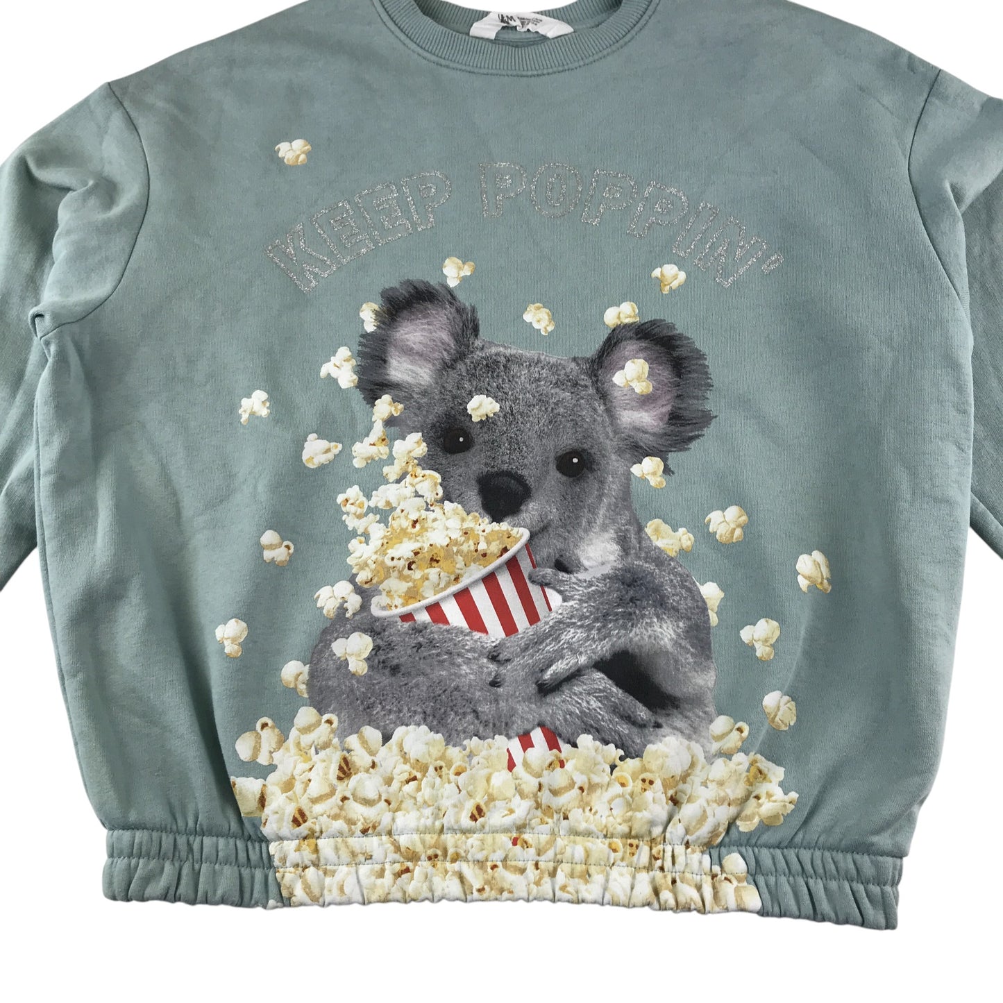 H&M sweater 12-14 years sage green koala bear print
