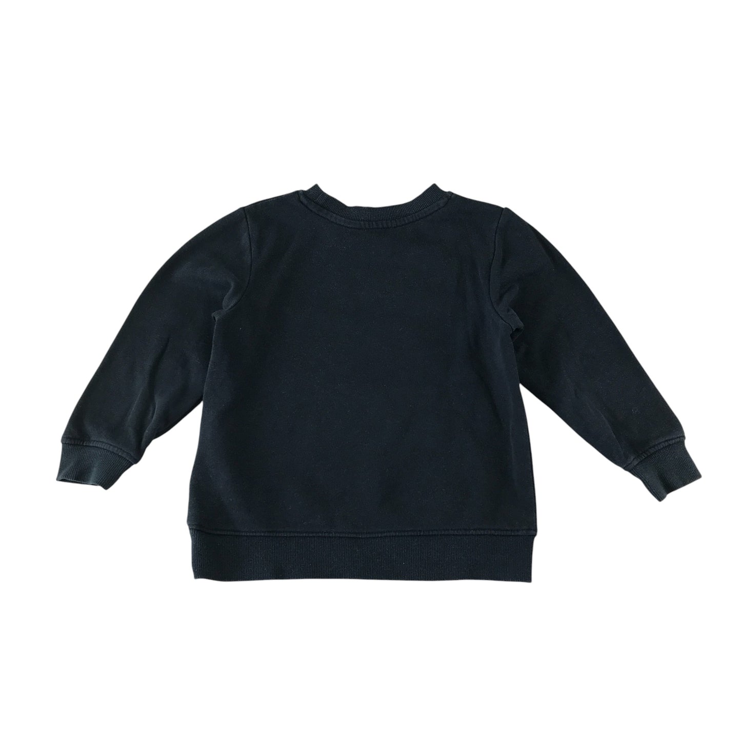 H&M sweater 4-6 years navy blue sequin bear Alaska print