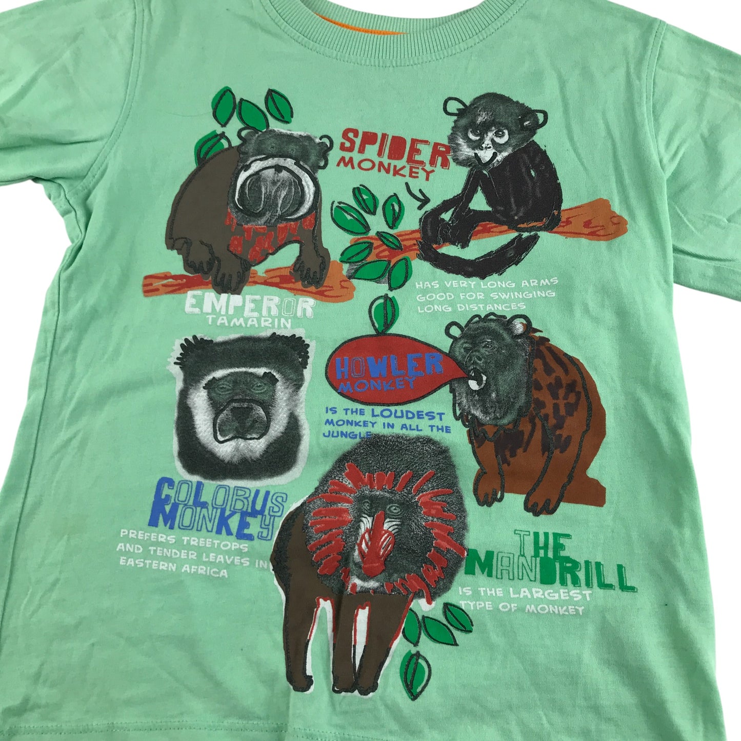 Debenhams t-shirt 4-5 years green monkey graphic cotton