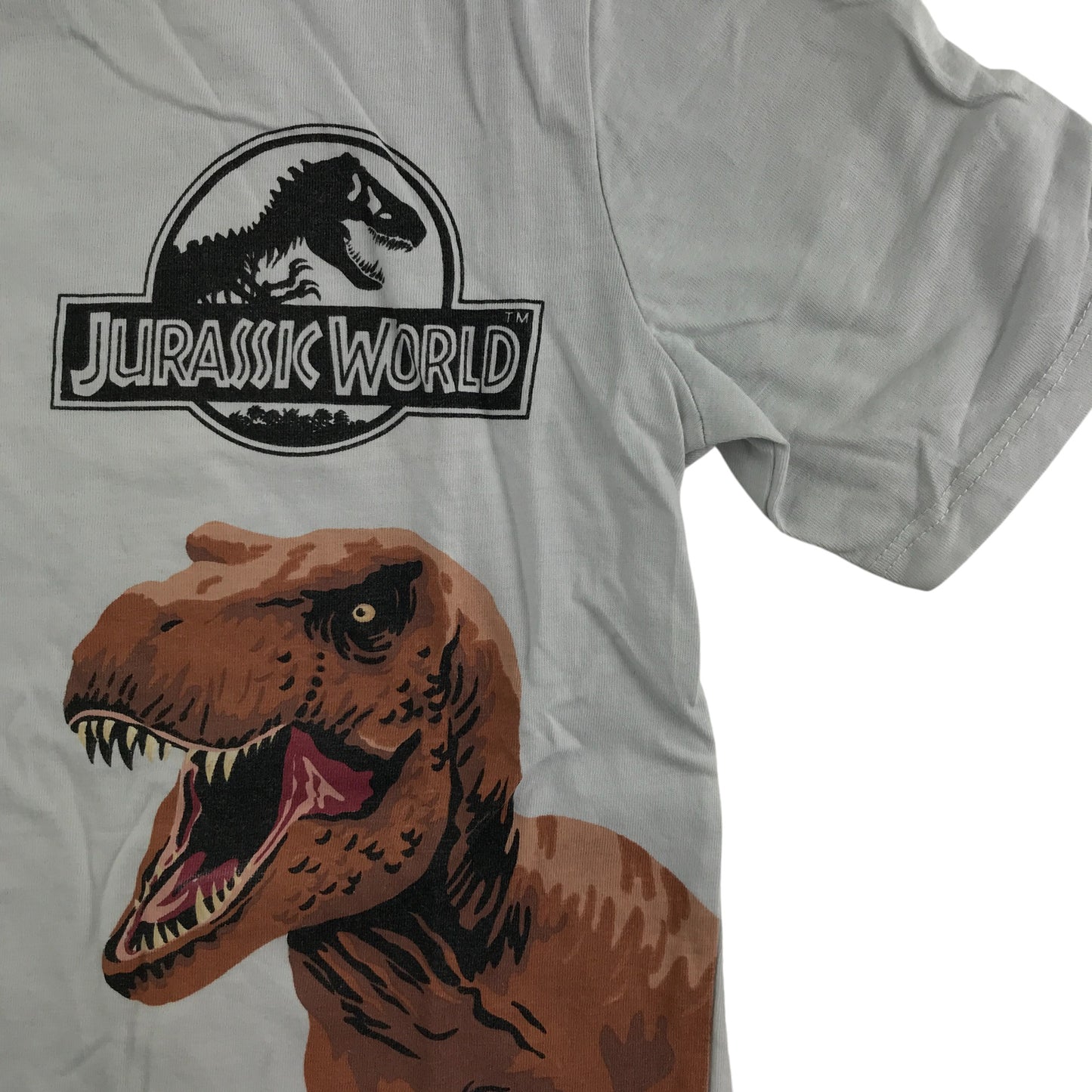 H&M t-shirt 7-8 years white jurassic world graphic cotton