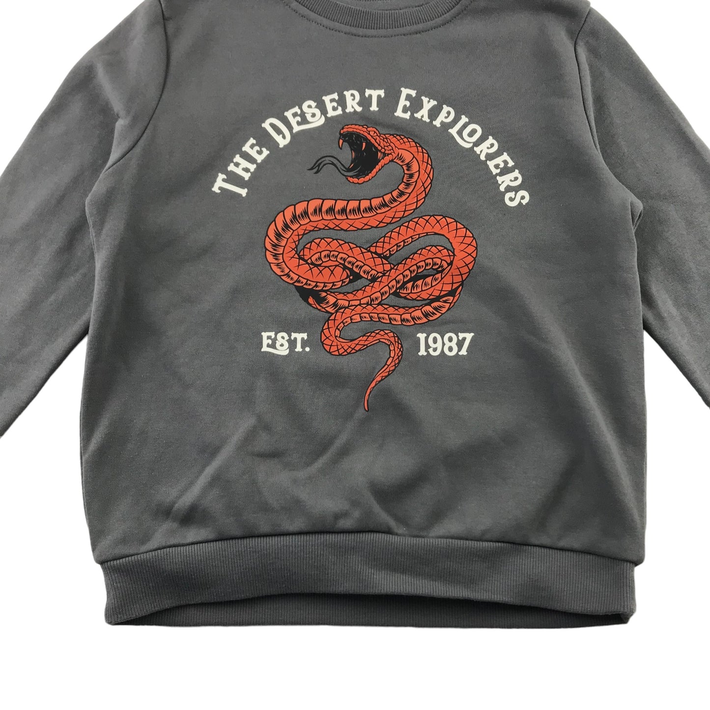Primark sweater 7-8 years grey snake graphic print