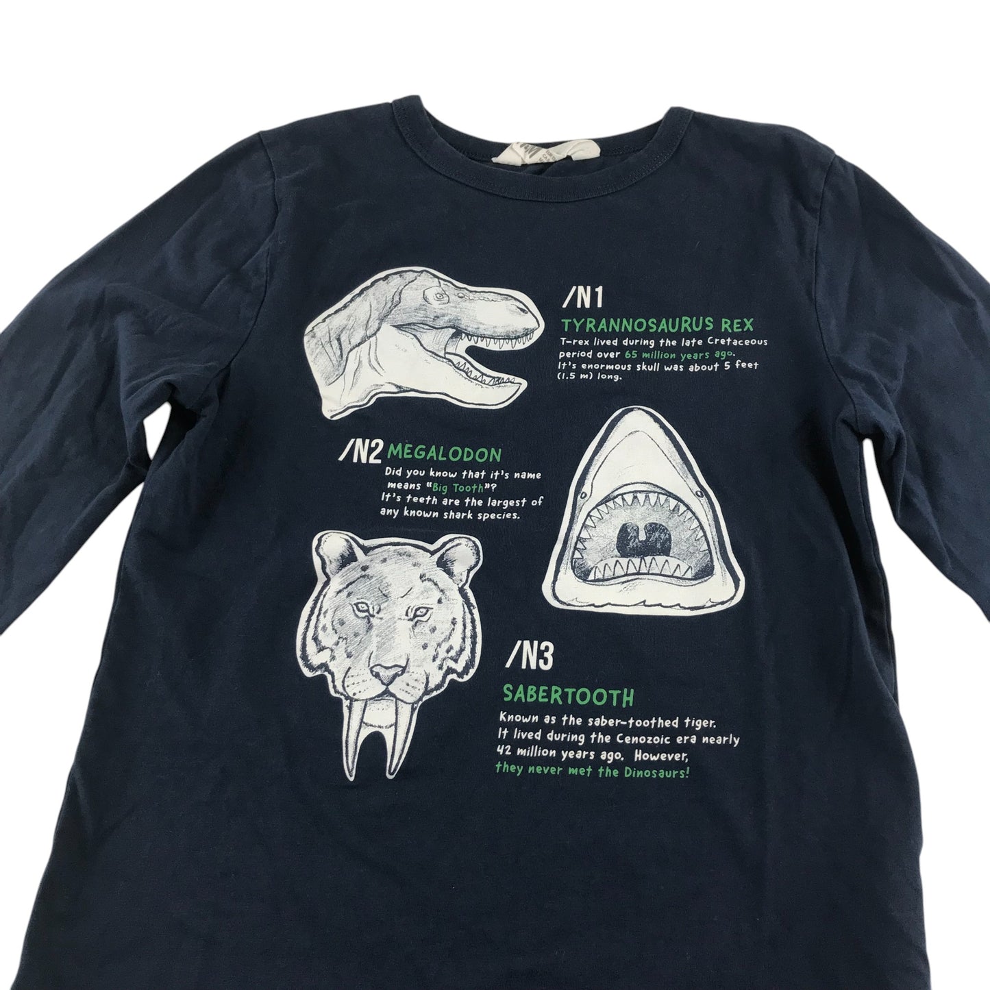 H&M t-shirt 9-10 years navy extinct dinosaurs graphic