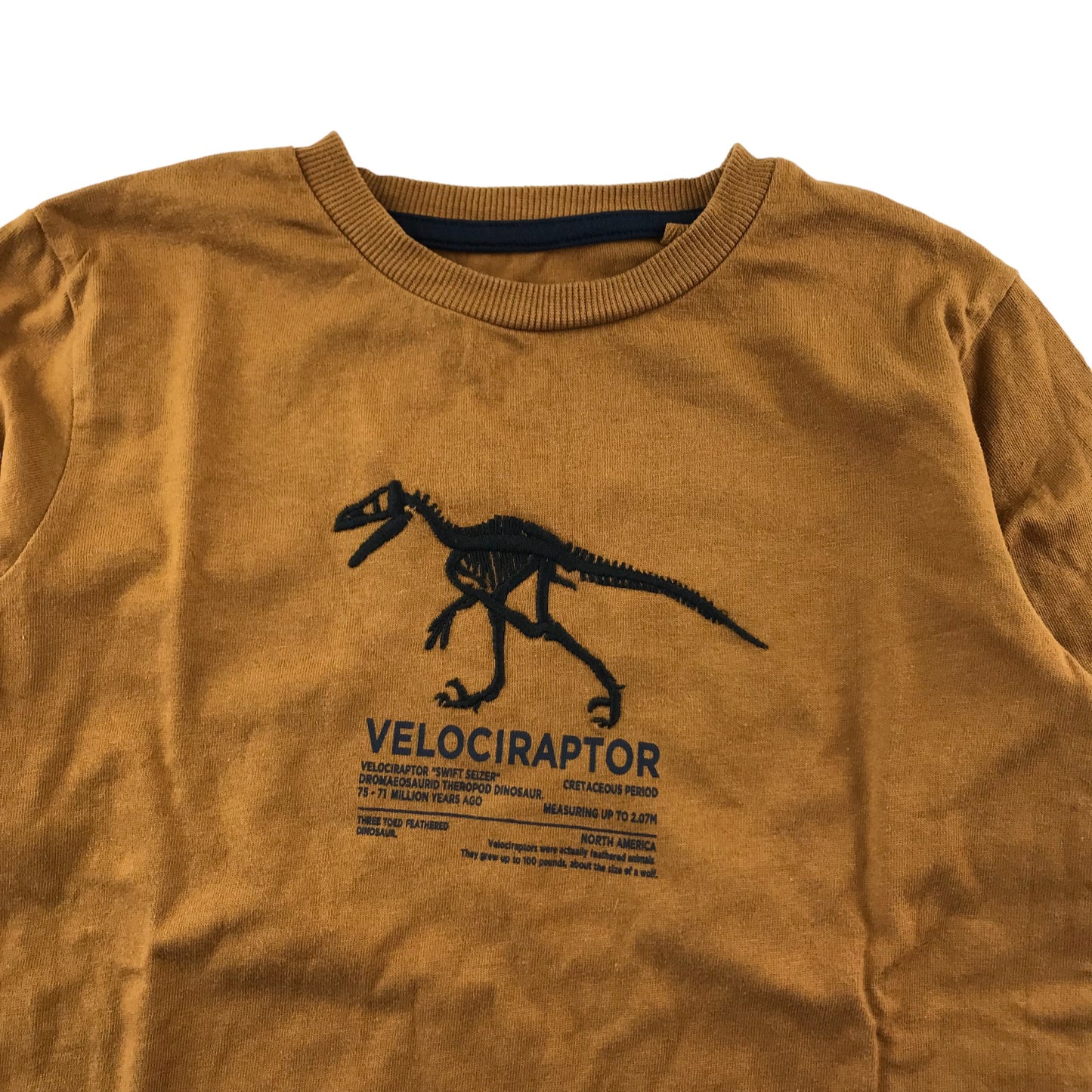 Next T-shirt Age 5-6 Mustard Yellow Brown Dinosaur Long Sleeve Cotton
