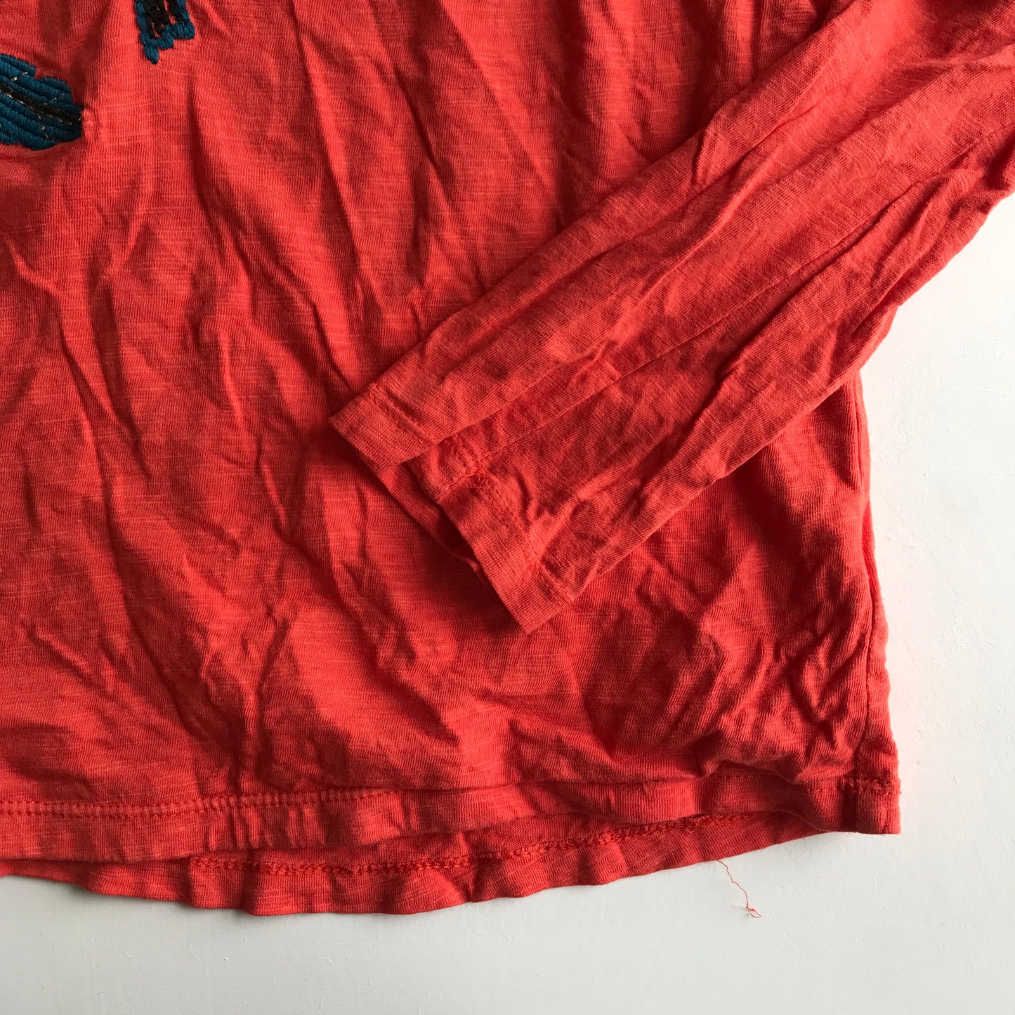 T-shirt - Humming Bird - Age 11