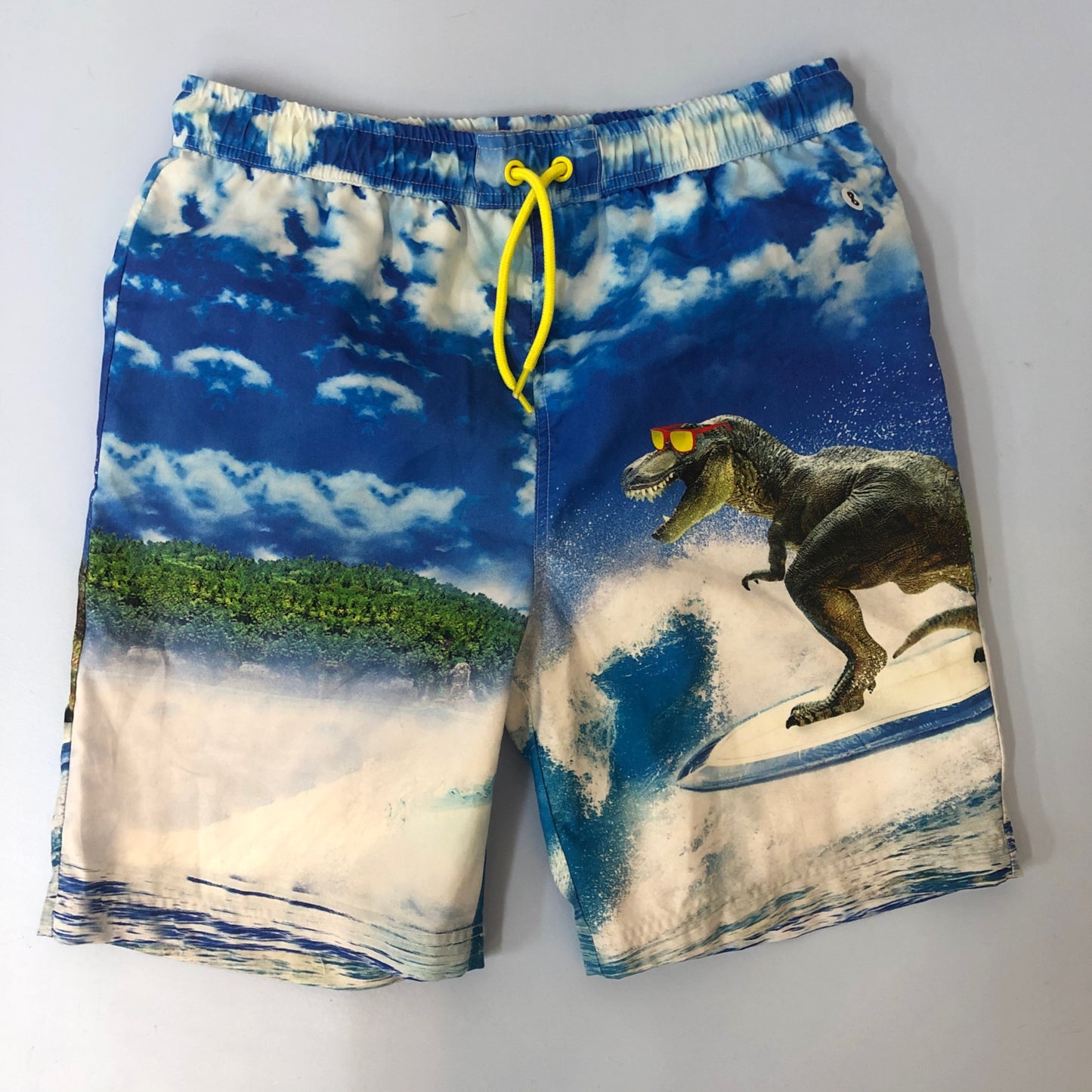 Swim Trunks - Dinosaur - Age 8