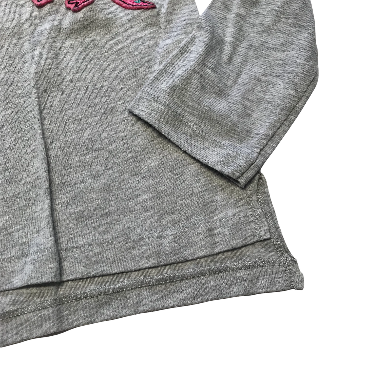 Zara Grey Dinosaur T-shirt Age 8