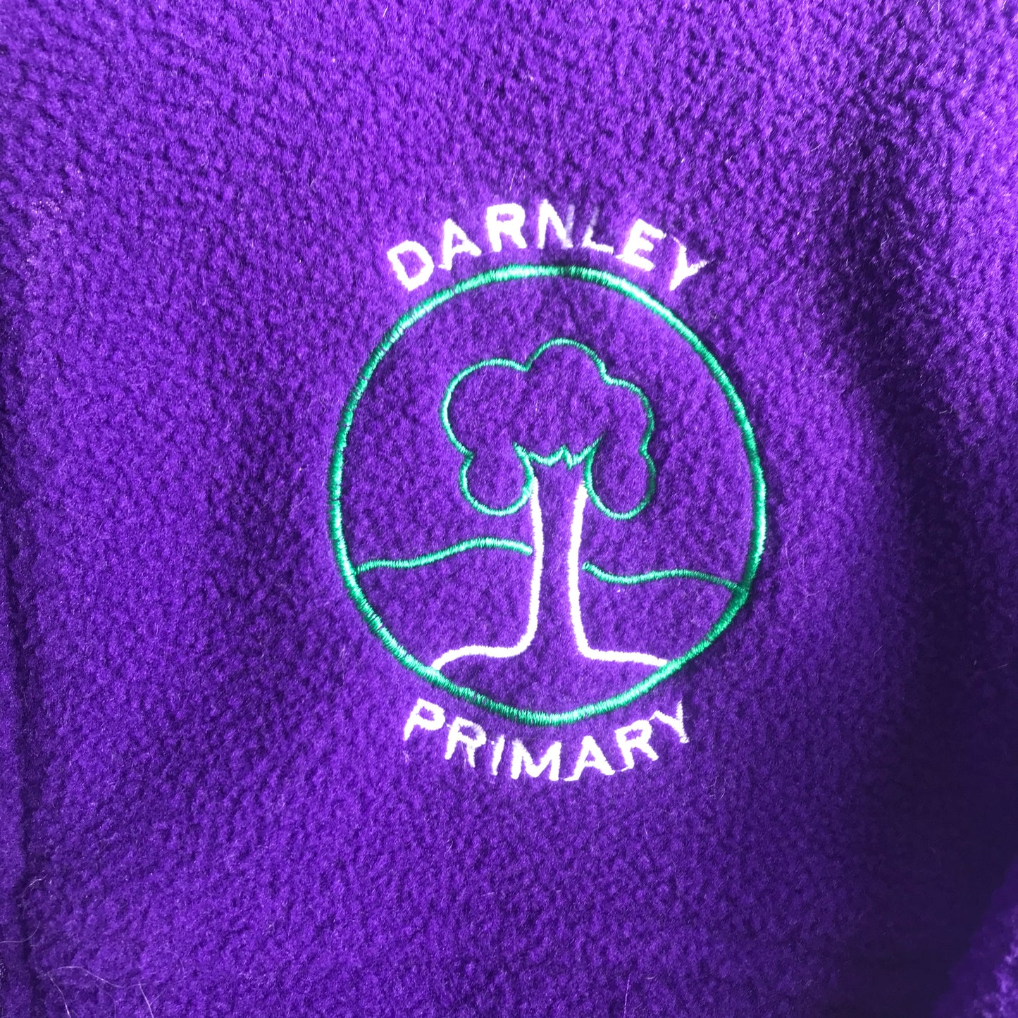 Darnley Primary Purple School Fleece