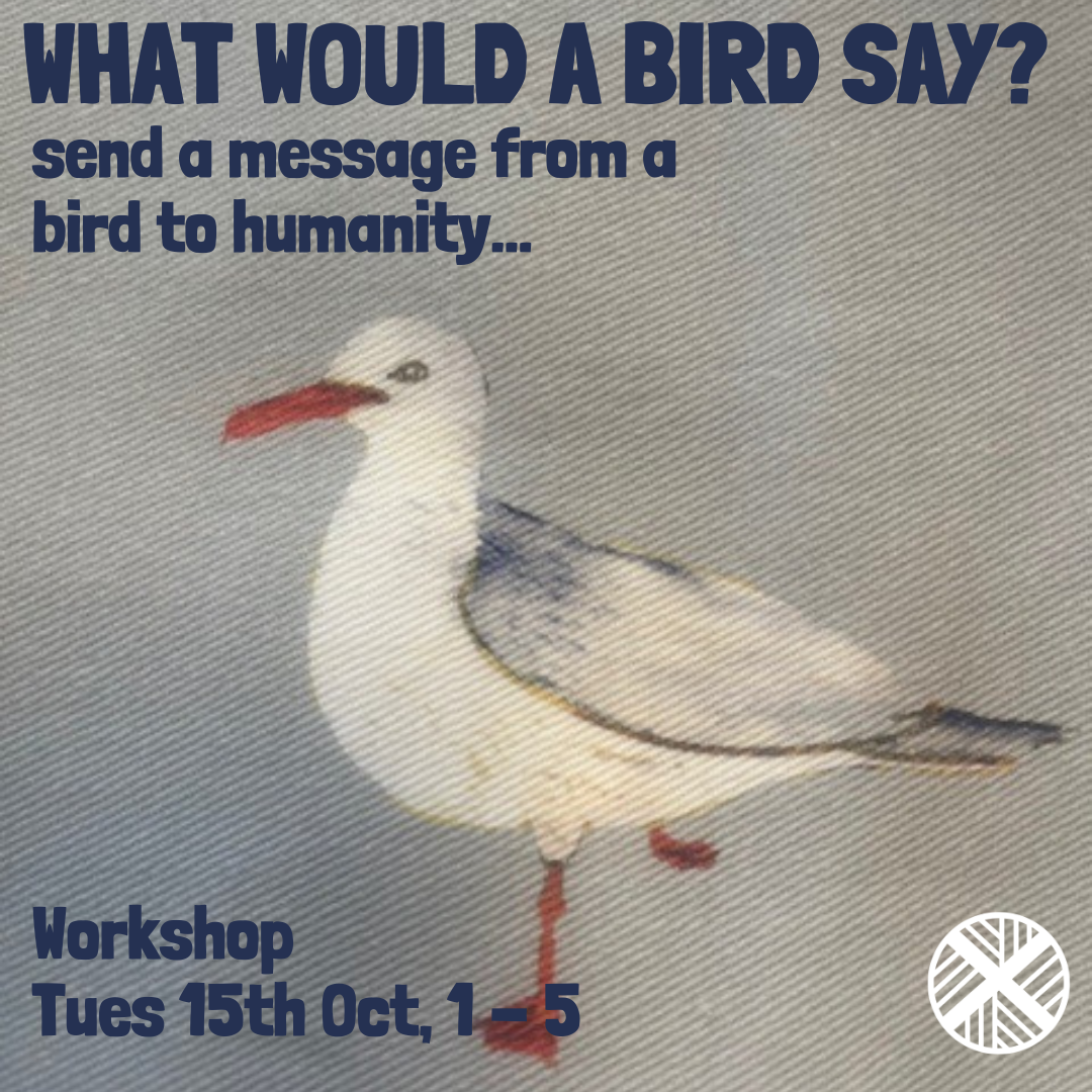 Message from a Bird - Workshop