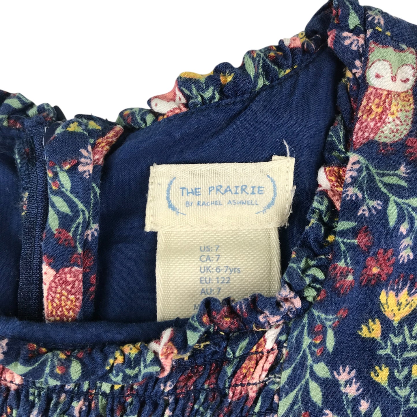 The Prairie dress 6-7 years blue owl and floral print A-line long sleeve