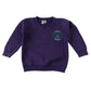 Second-hand Darnley Primary boys purple V-neck jersey sweatshirt, flat lay view with embroidered school badge.