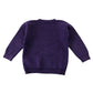 Second-hand Darnley Primary boys purple V-neck jersey sweatshirt, flat lay view with embroidered school badge.