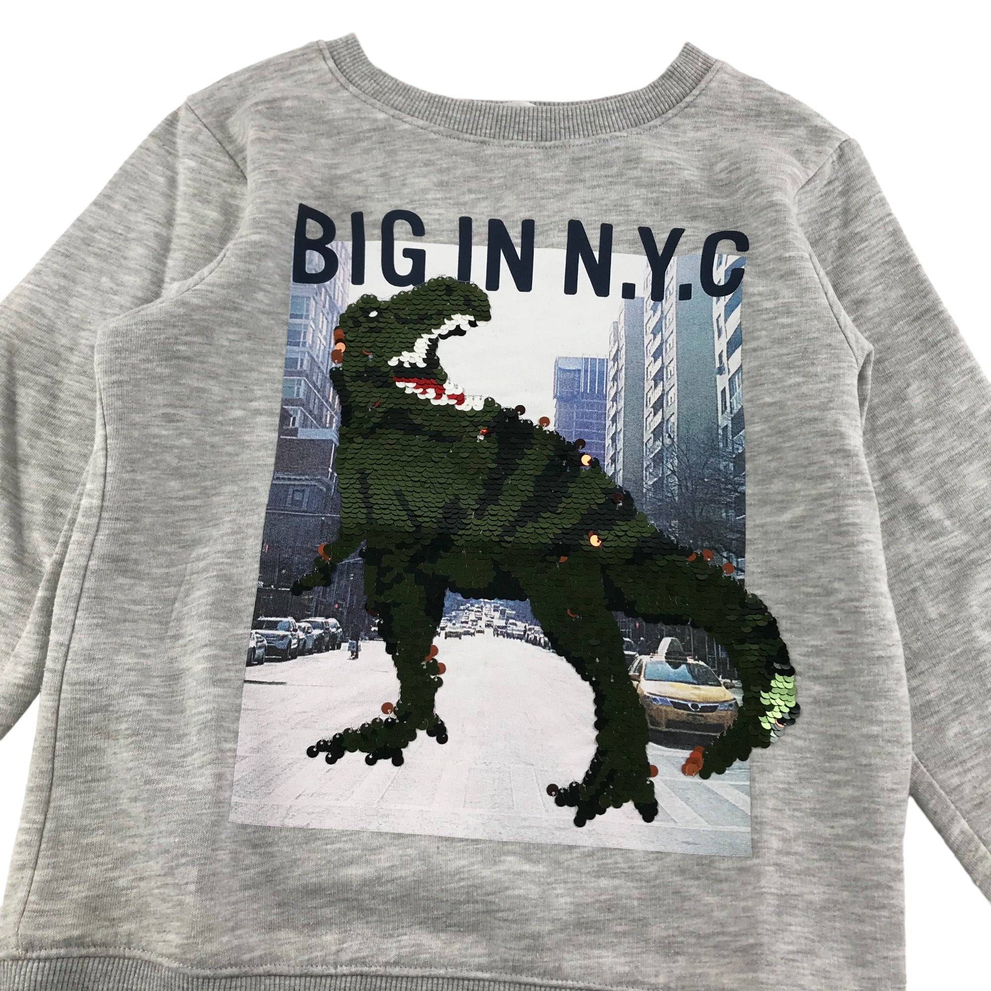 H&m hotsell dinosaur sweater