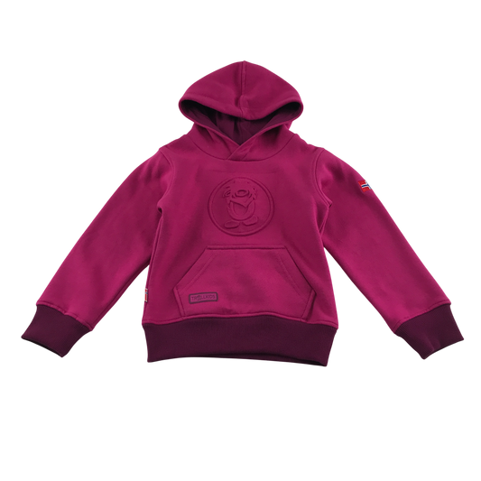 Preloved kids hoodie