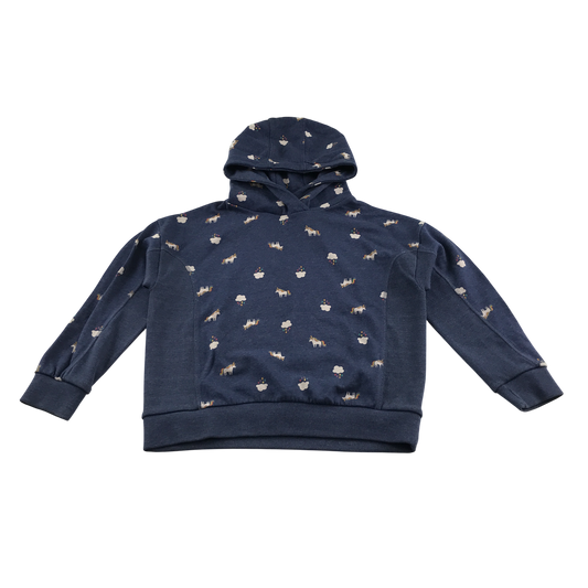 Preloved kids hoodie