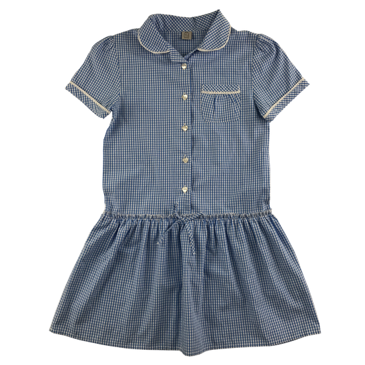 Blue gingham drop waist school summer dress