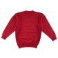 Red sweatshirt school jumper