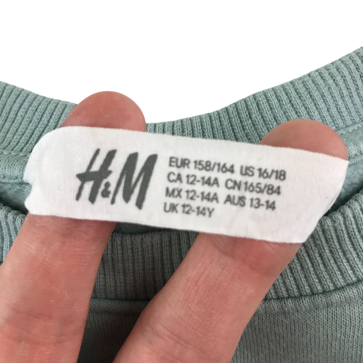 H&M sweater 12-14 years sage green koala bear print