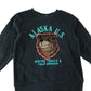 H&M sweater 4-6 years navy blue sequin bear Alaska print