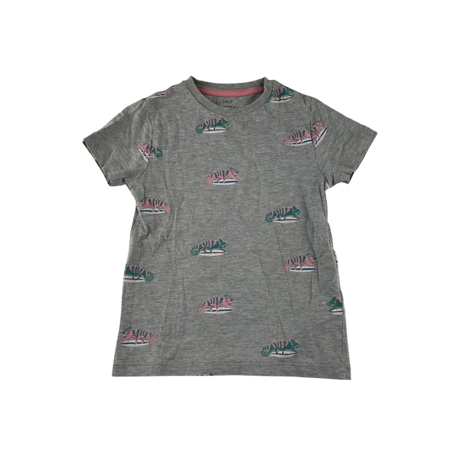 M&S t-shirt 4-5 years grey Chameleons print design