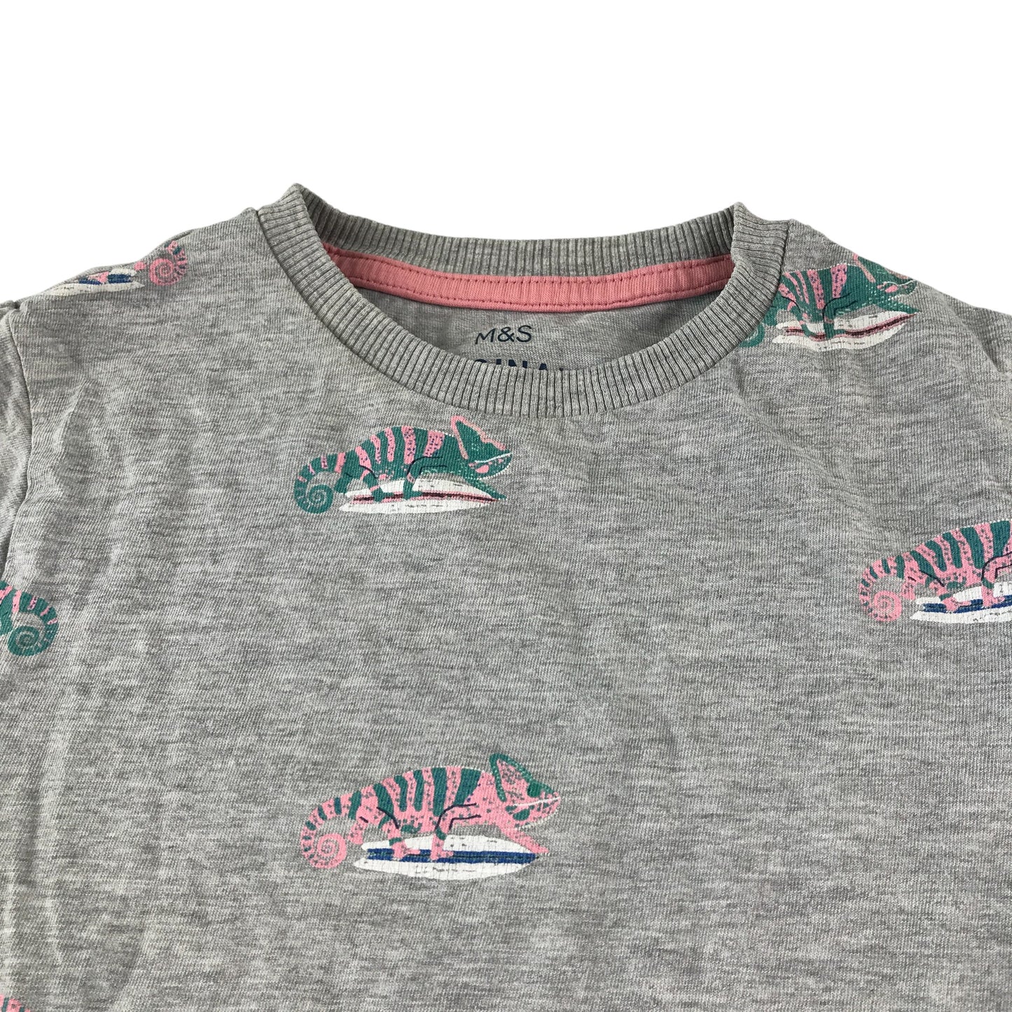M&S t-shirt 4-5 years grey Chameleons print design
