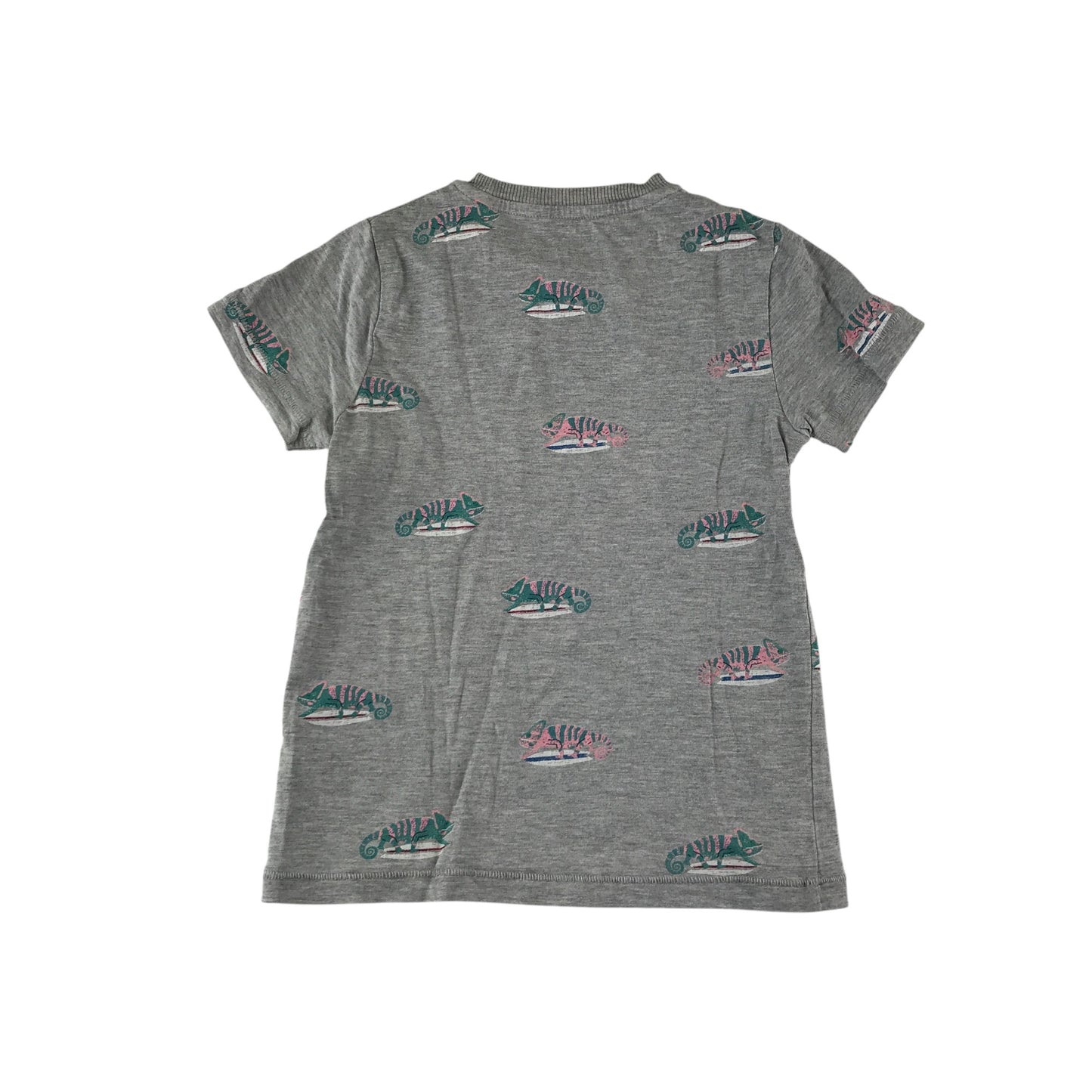 M&S t-shirt 4-5 years grey Chameleons print design