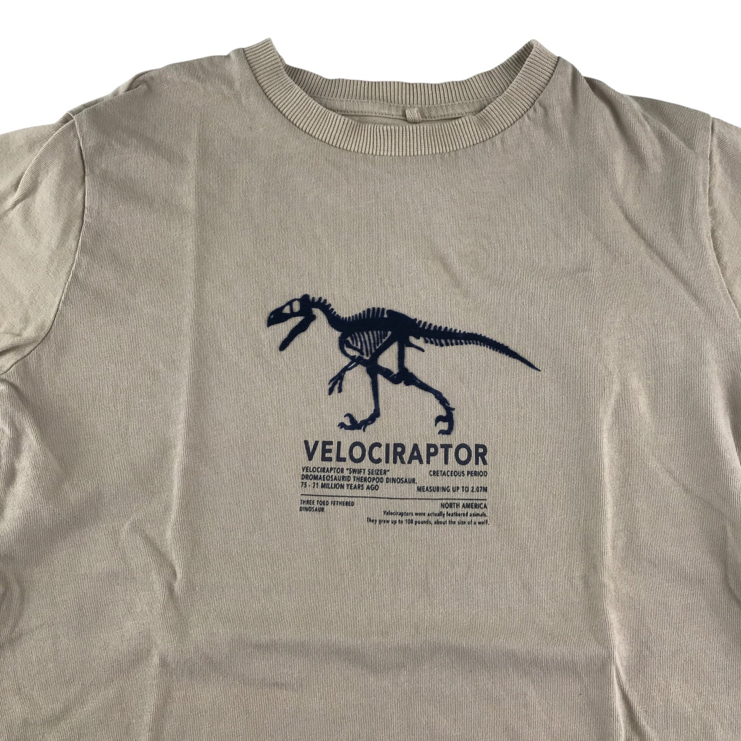 Next t-shirt 9-10 years grey velociraptor graphic design cotton