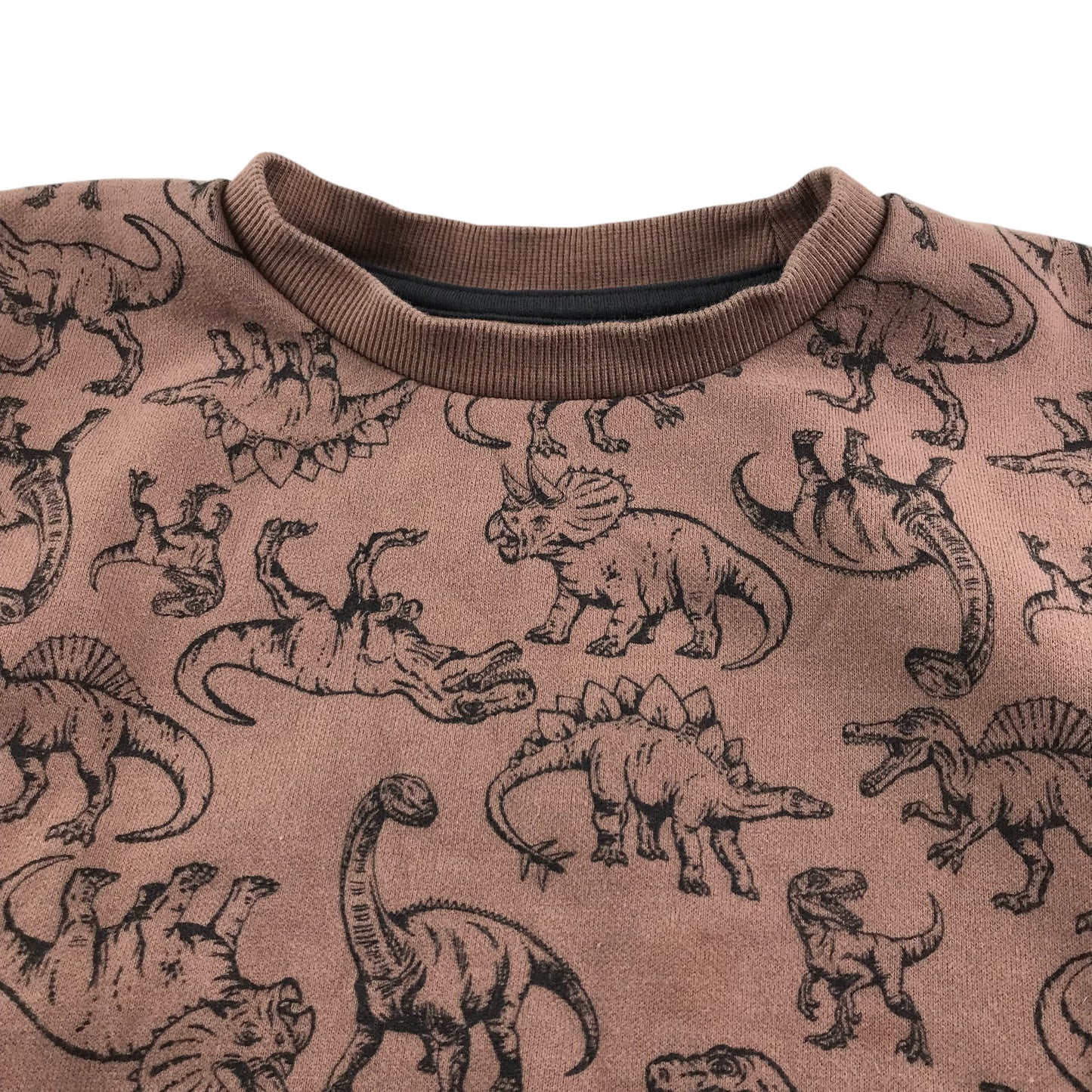 Nutmeg sweater 6-7 years brown dinosaur graphic design print