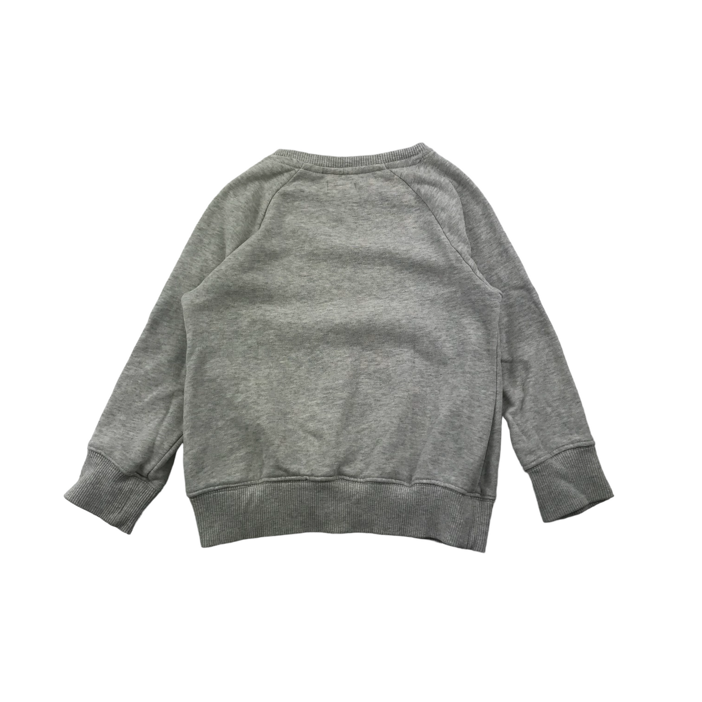 Grey Pug Christmas Jumper Age 5