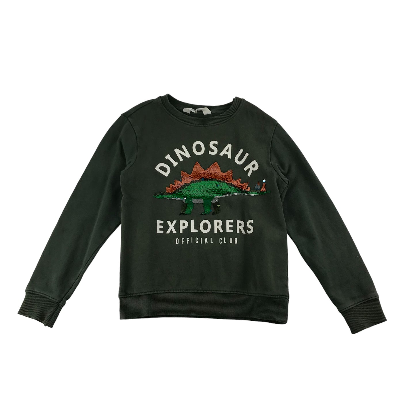 H&M Sweater Age 7 Khaki Green Sequin Dinosaur Jersey Cotton