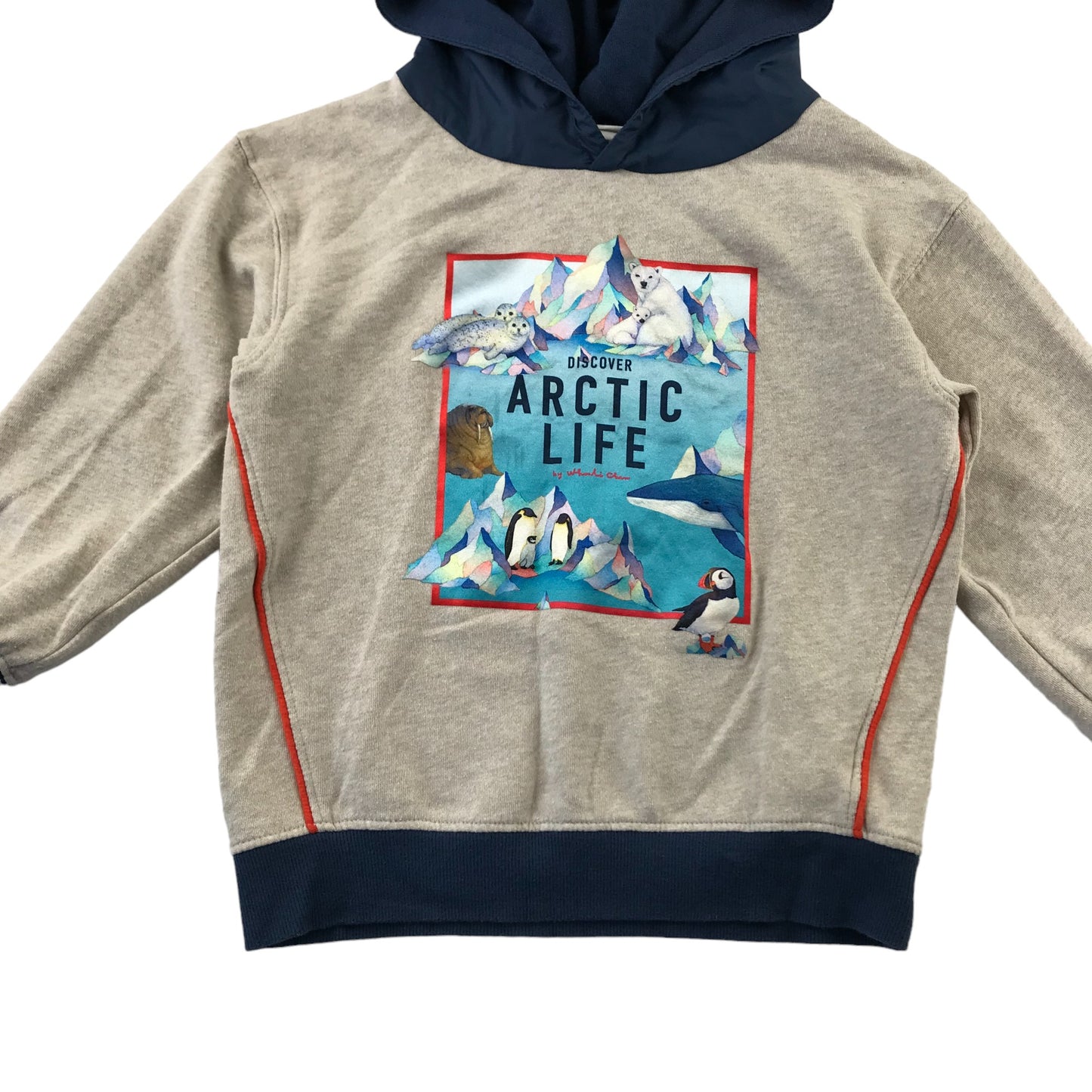 H&M hoodie 7-8 years light grey arctic graphic design