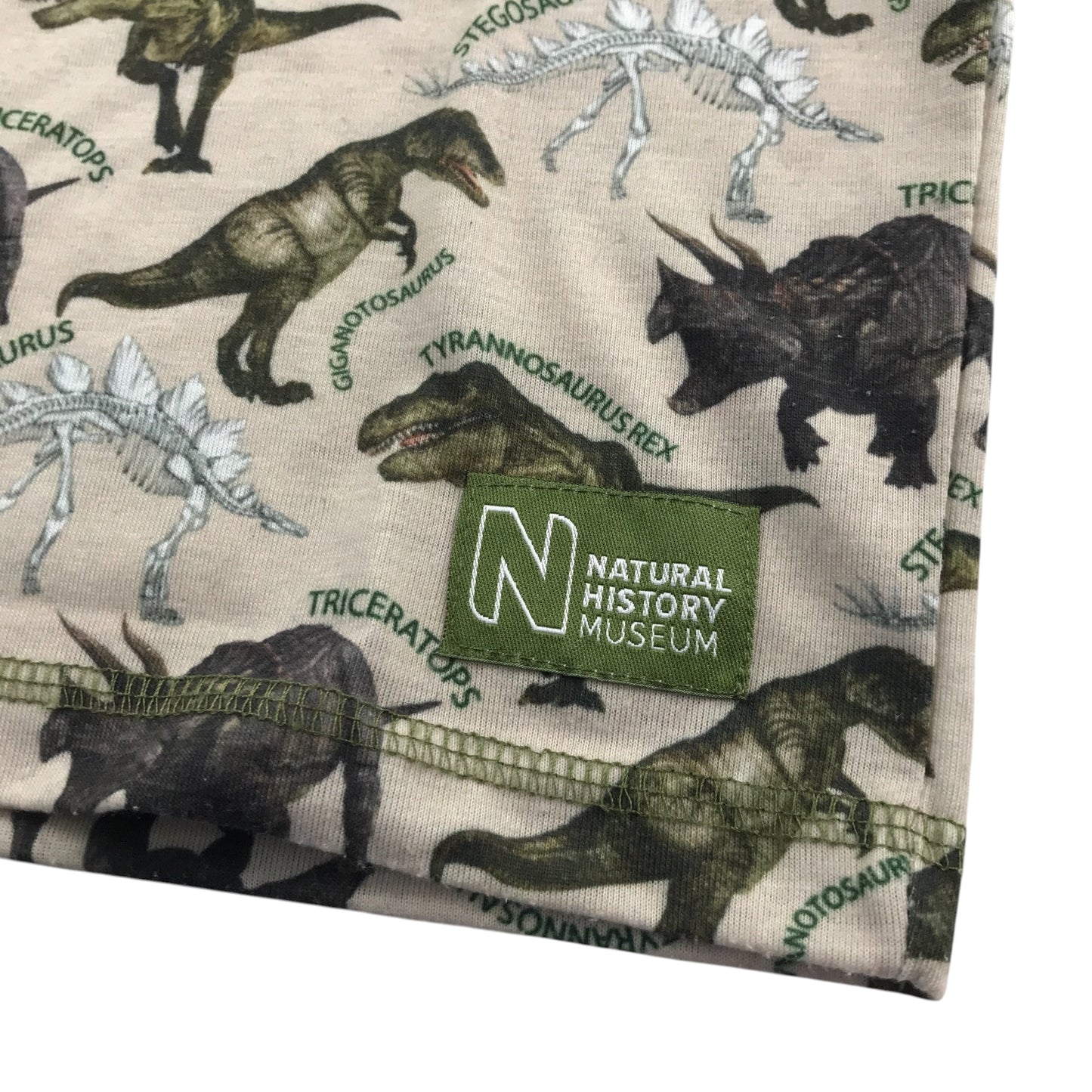 National History Museum t-shirt 7-8 years grey dinosaur design print