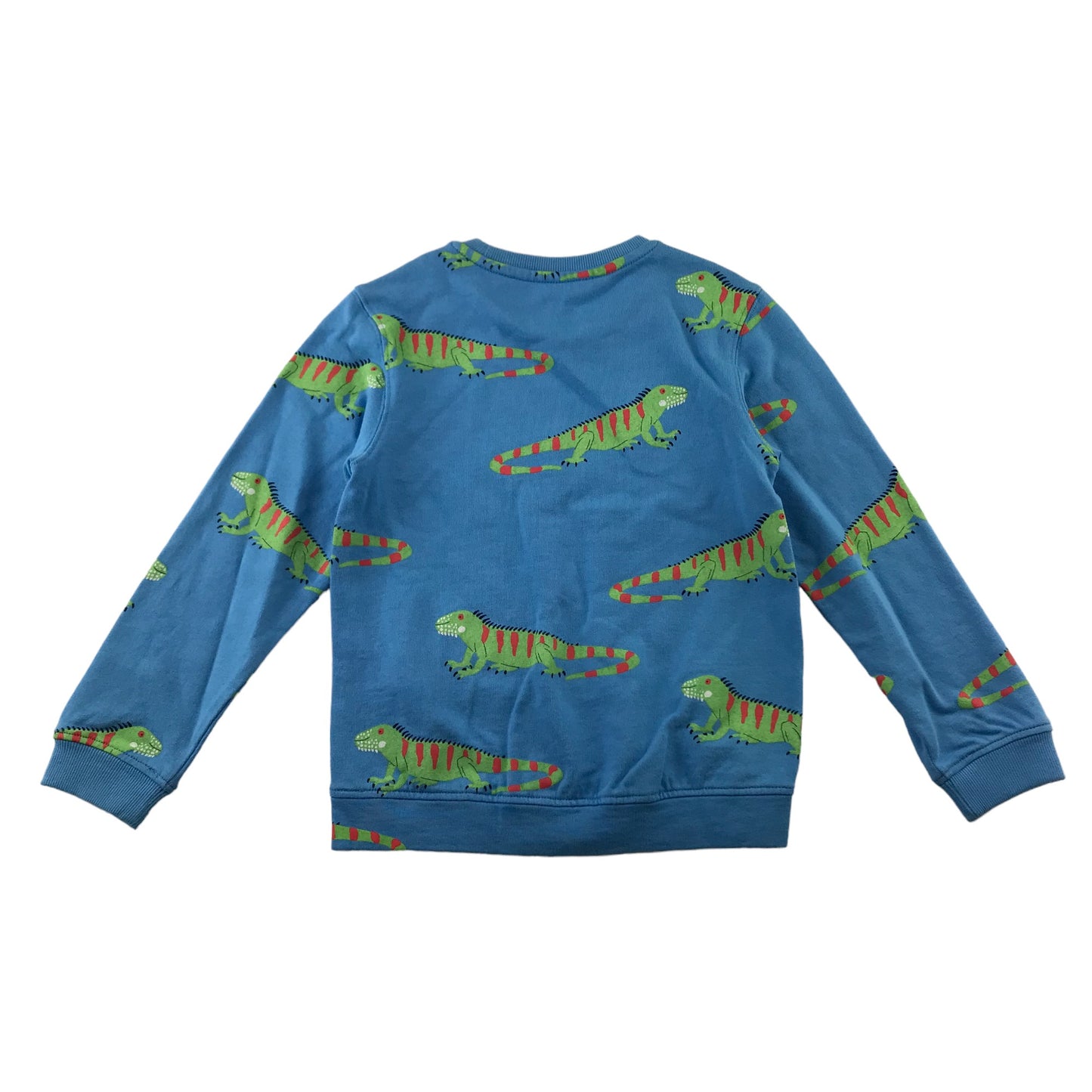 M&S sweater 5-6 year blue lizard graphic print design