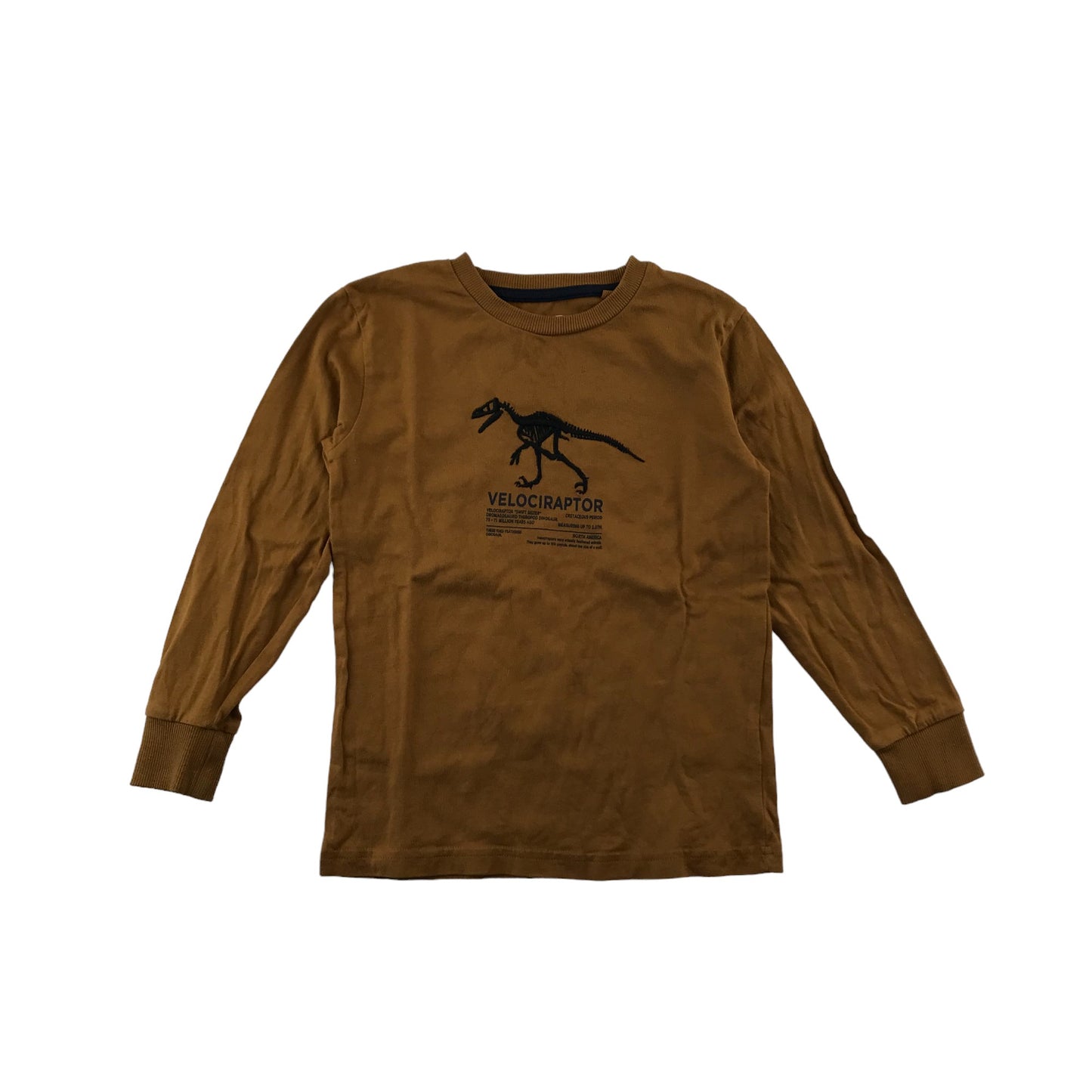 Next T-shirt Age 5-6 Mustard Yellow Brown Dinosaur Long Sleeve Cotton