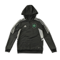 Adidas Celtic FC 11-12 years grey hoodie
