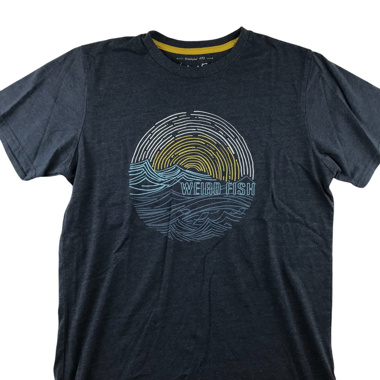 Weird Fish T-Shirt Men's Medium Grey Ocean Sunrise Graphic Design