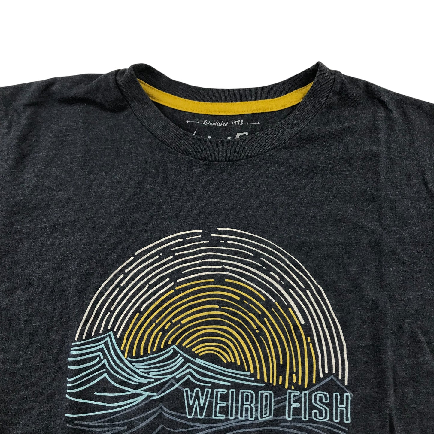 Weird Fish T-Shirt Men's Medium Grey Ocean Sunrise Graphic Design