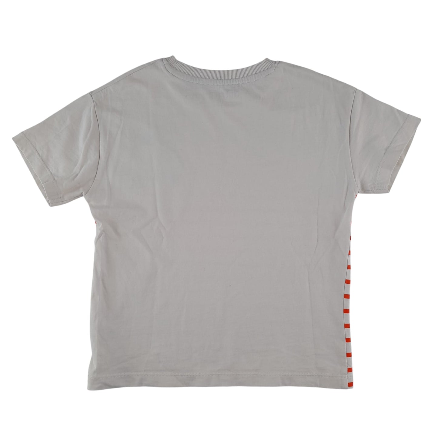 Nutmeg t-shirt 5-6 years white with orange strips and blue Stegosaurus