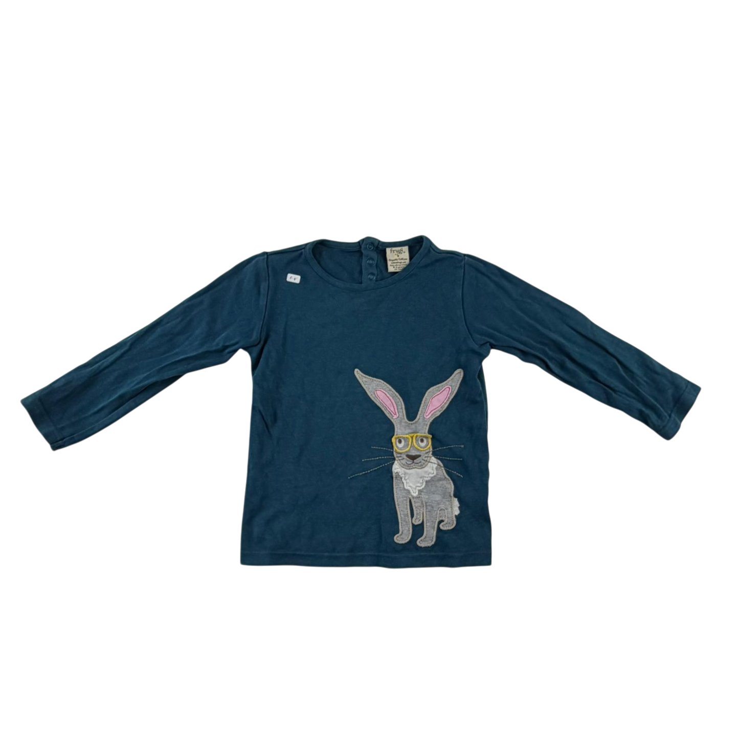 Preloved Frugi T-Shirt for Kids