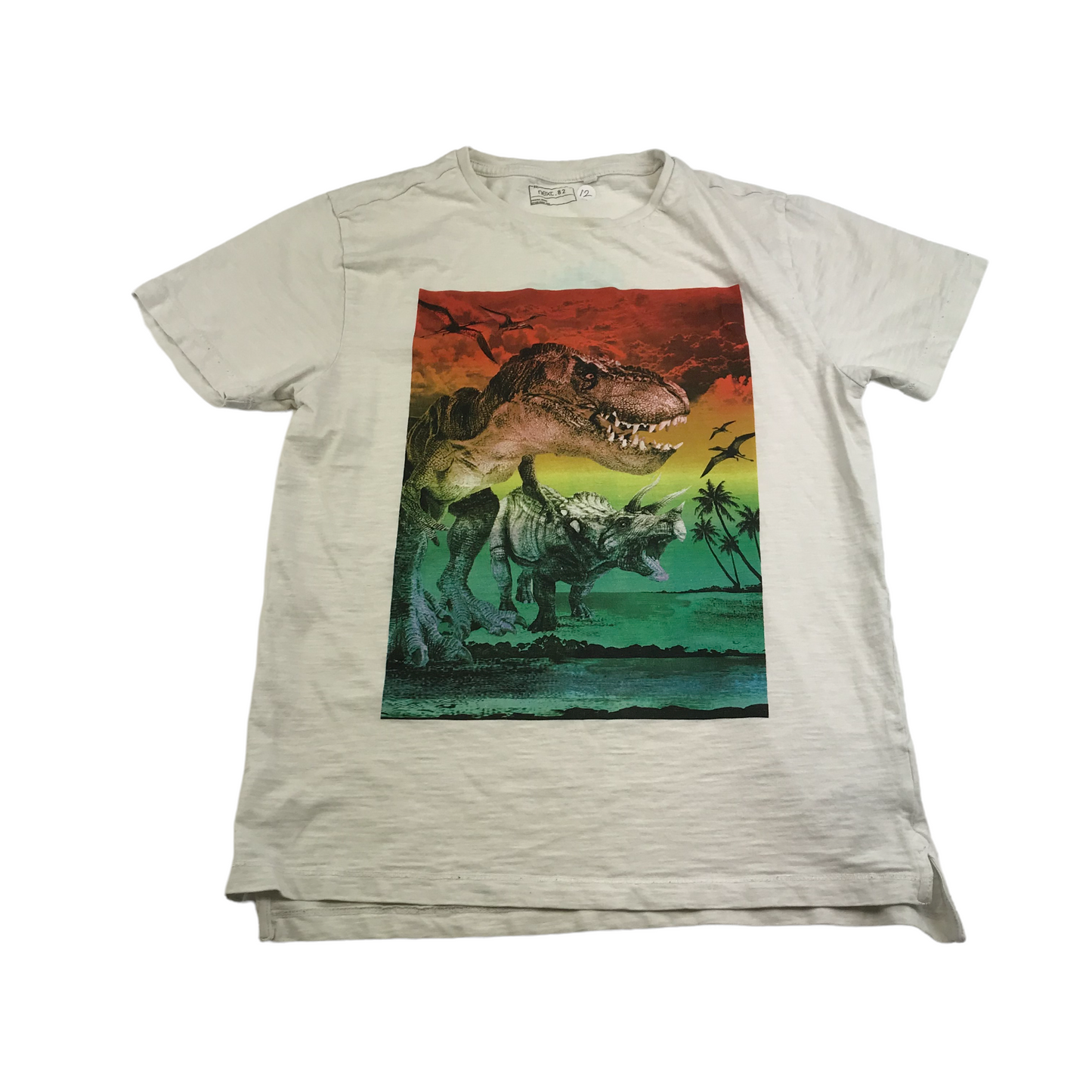 Next White Dinosaur Graphic T-shirt Age 12
