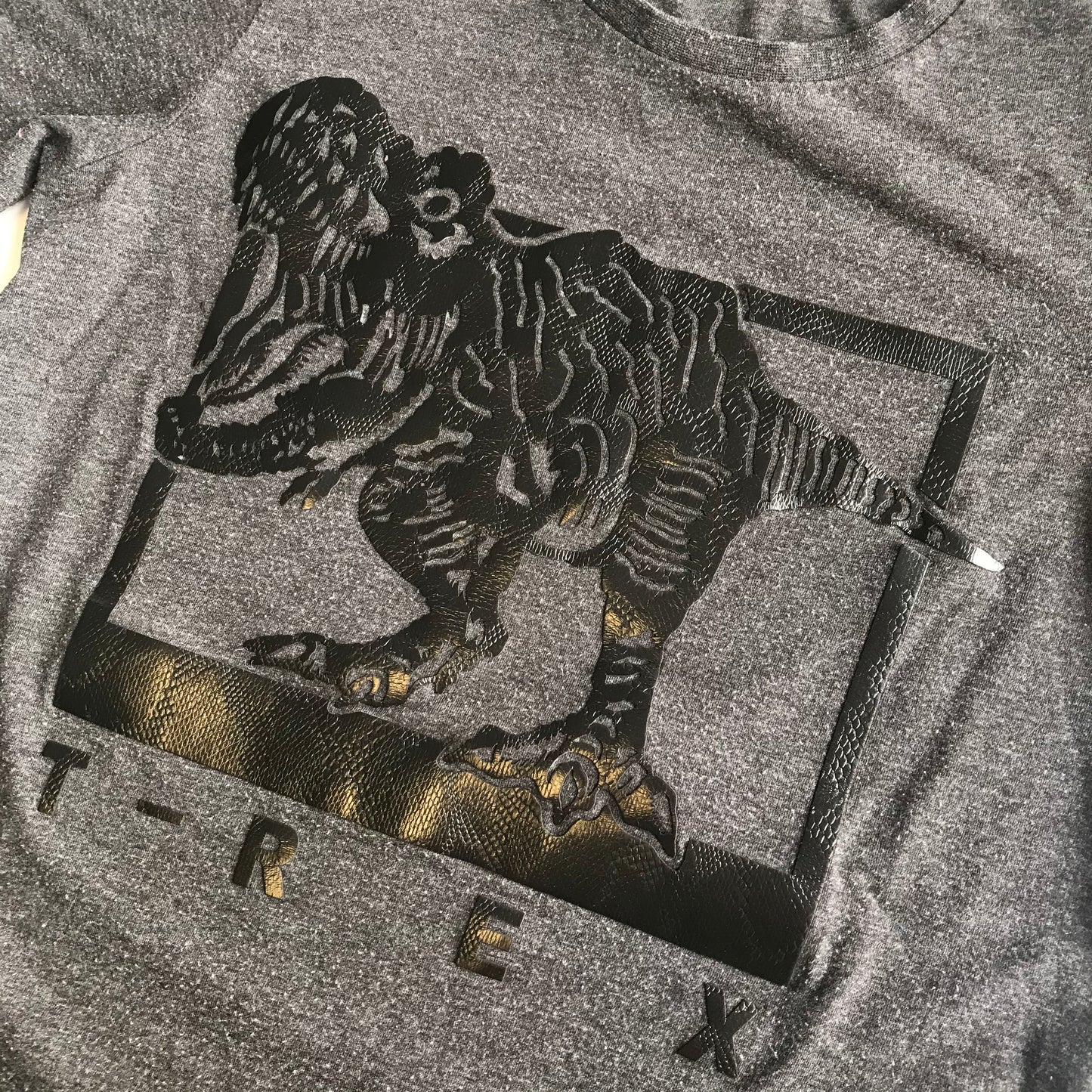 T-shirt - Dinosaur - Age 12