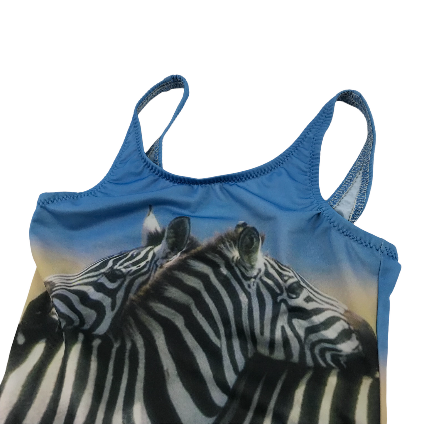 Blue Zebra Swimsuit Age 4