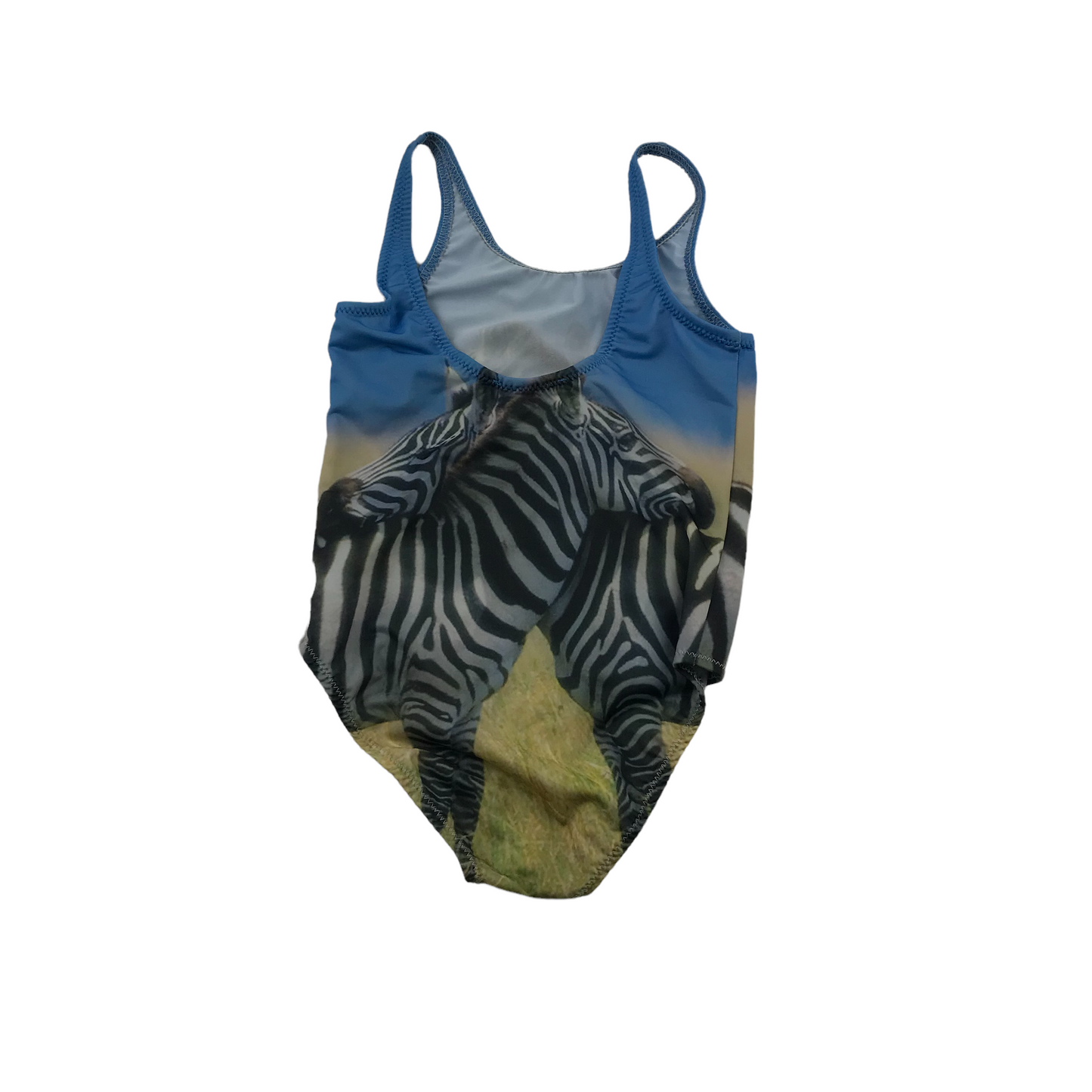 Blue Zebra Swimsuit Age 4