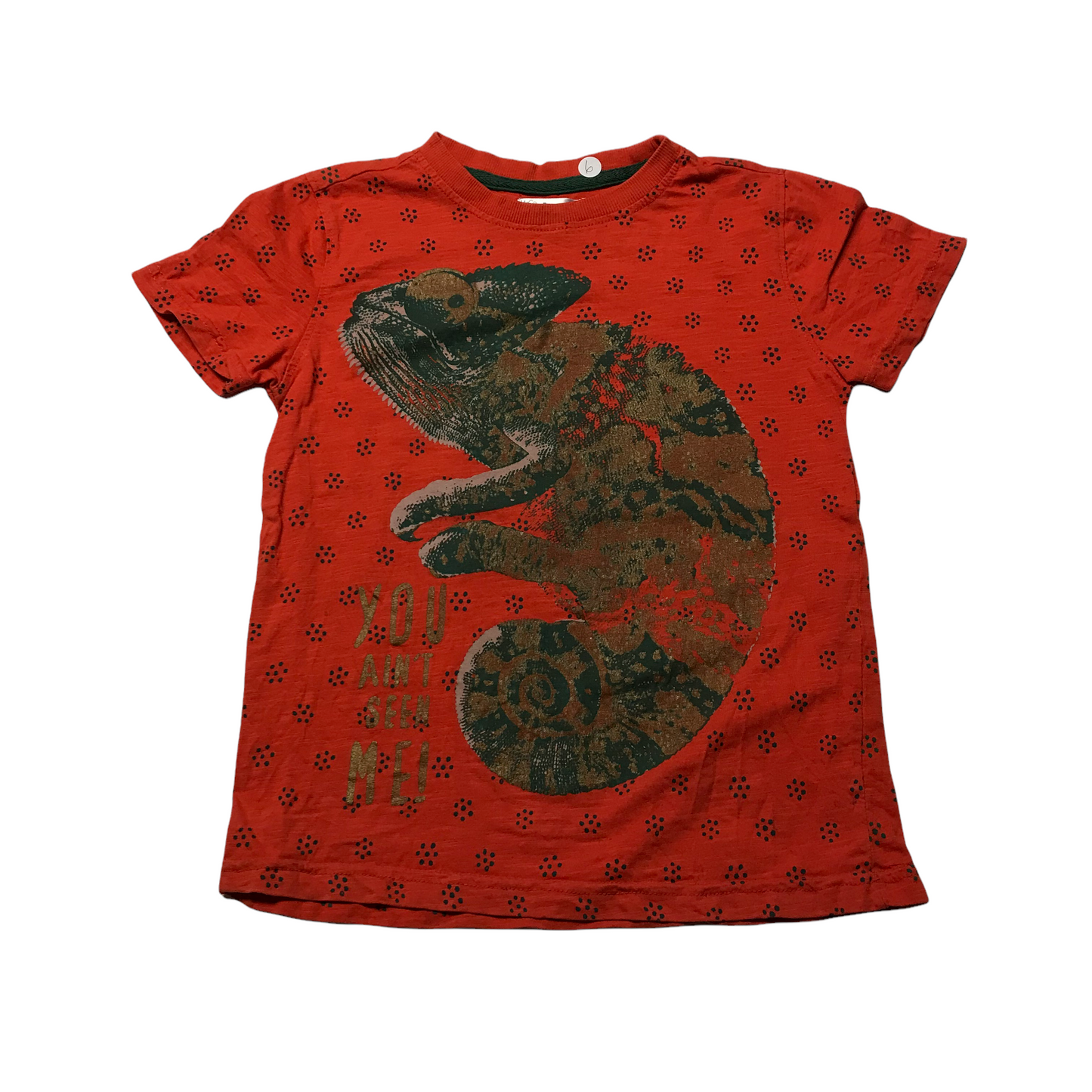 M&Co Orange Chameleon T-shirt Age 6