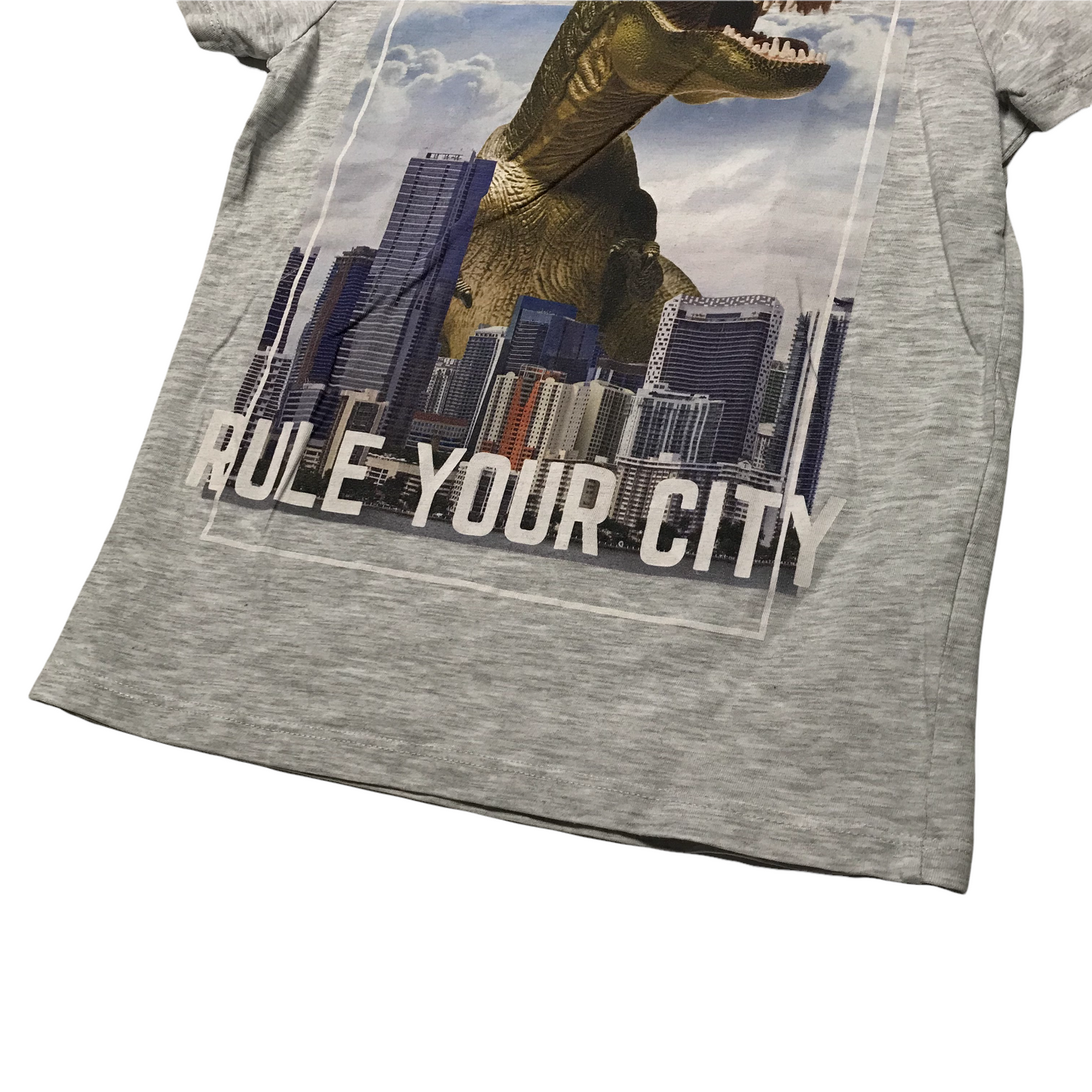 H&M Grey T-Rex Rule Your City T-shirt Age 6