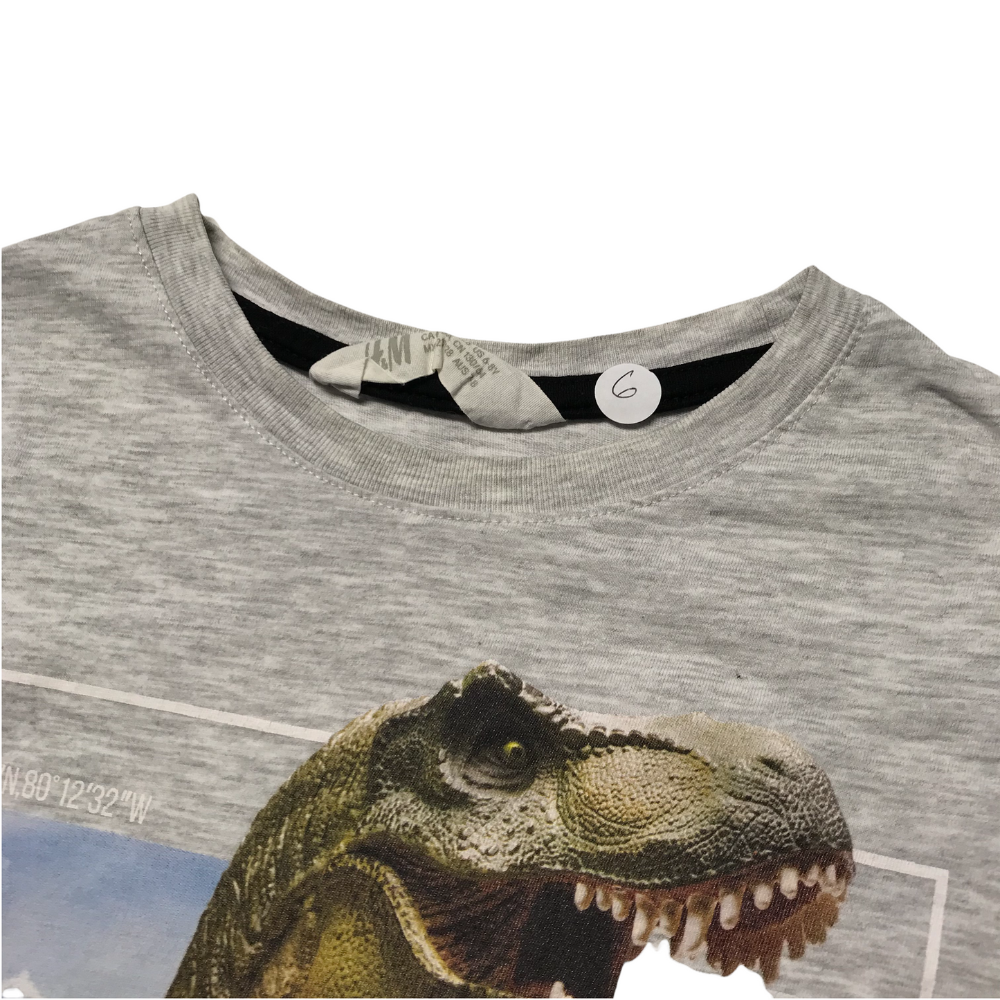 H&M Grey T-Rex Rule Your City T-shirt Age 6