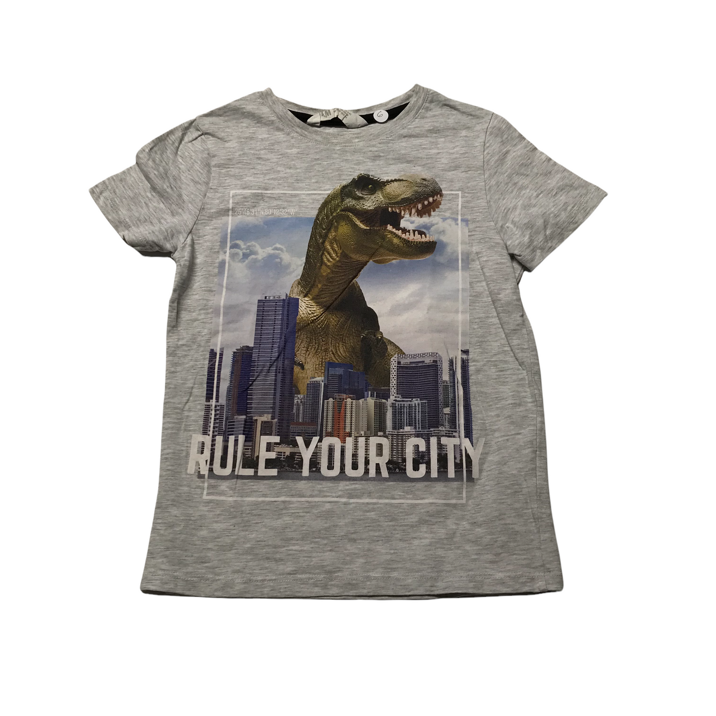 H&M Grey T-Rex Rule Your City T-shirt Age 6