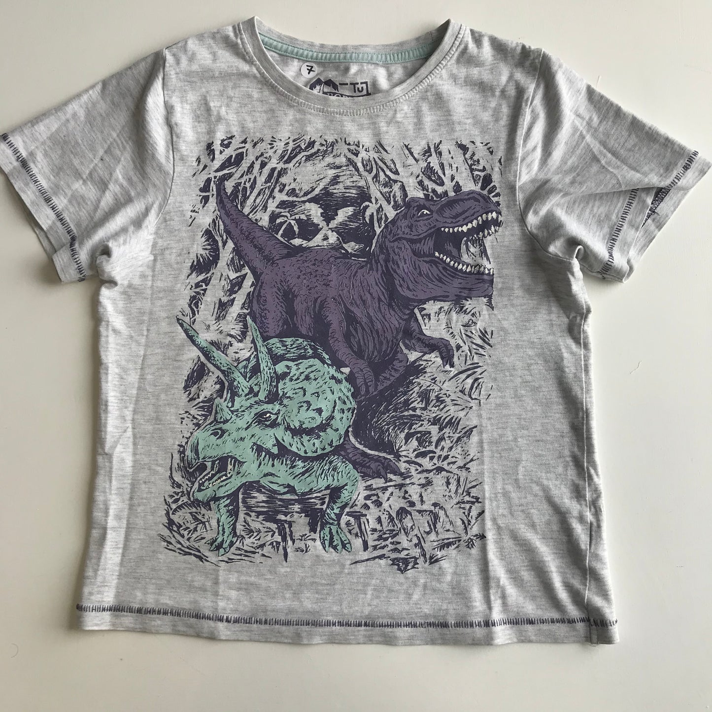 T-shirt - Dinosaurs - Age 7