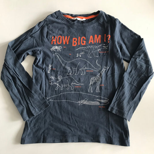 T-shirt - Dinosaurs- Age 7