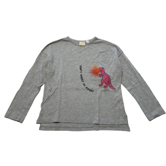 Zara Grey Dinosaur T-shirt Age 8