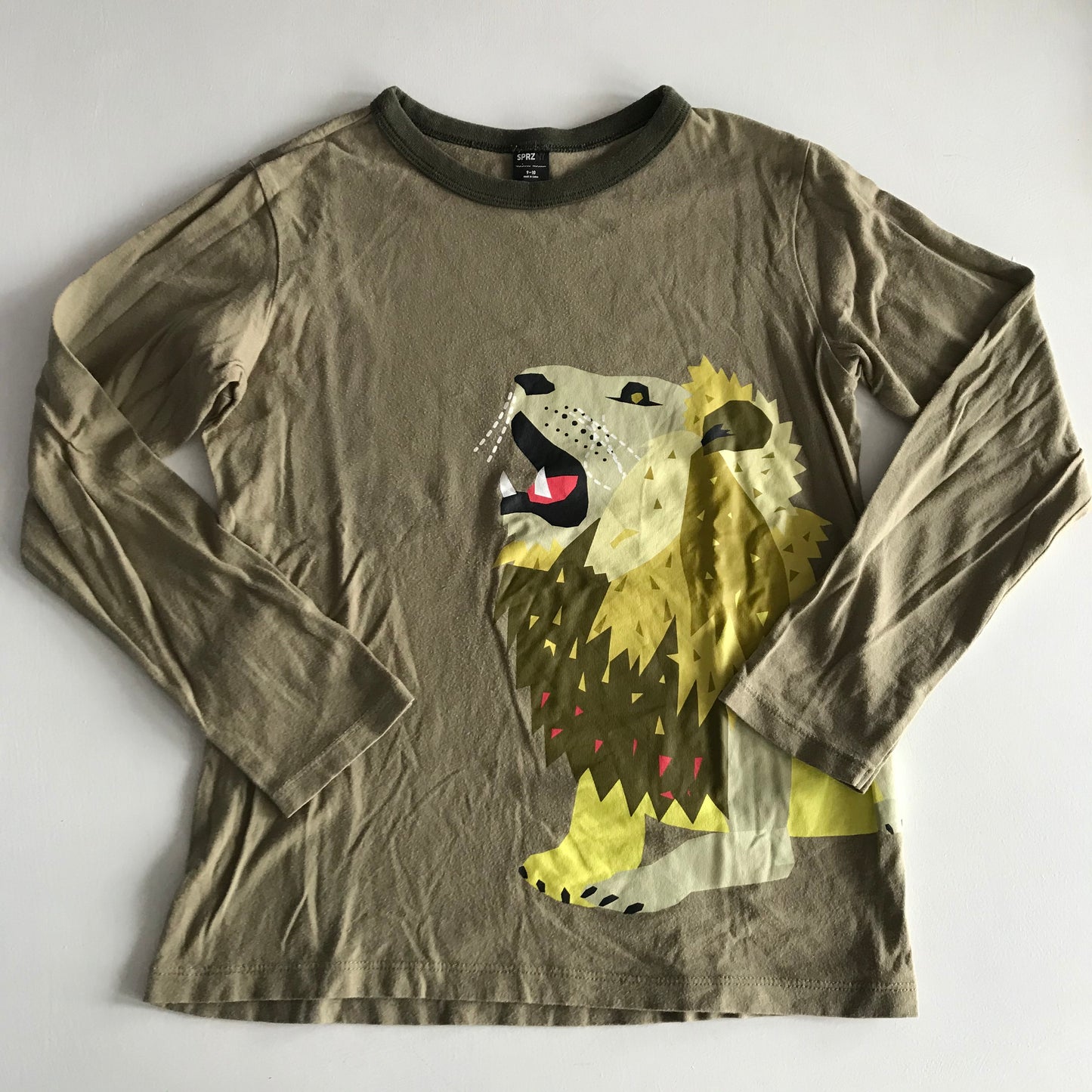 Brown Lion T-Shirt Age 9